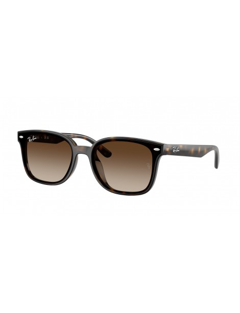 RAY BAN 